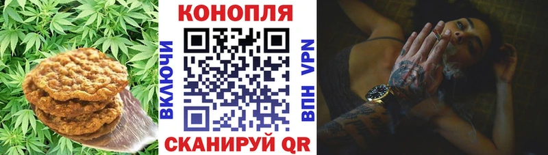 цены   Свирск  Cannafood марихуана 