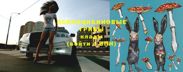 герыч Верхний Тагил